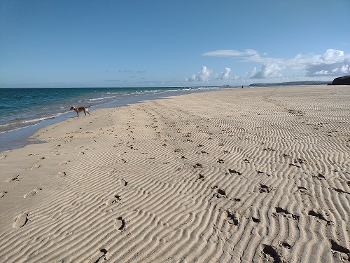 Hayle Estuary